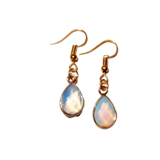 White bg no shadow designify   2021 09 01t222649584