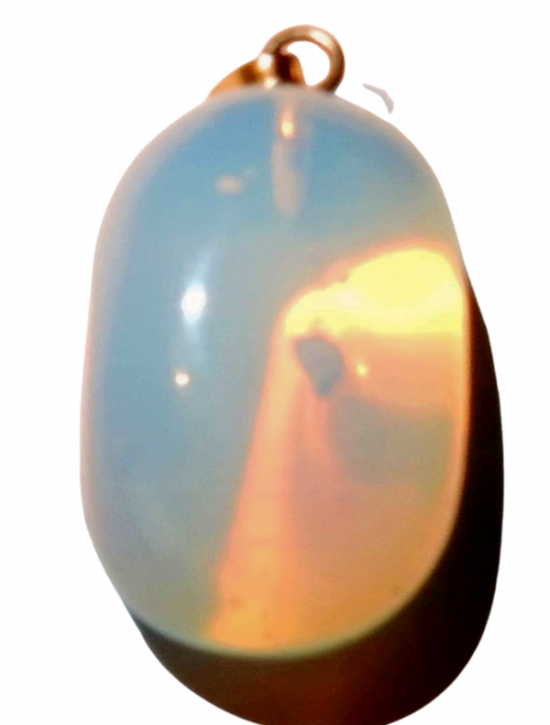 White bg no shadow designify   2022 02 01t183241439