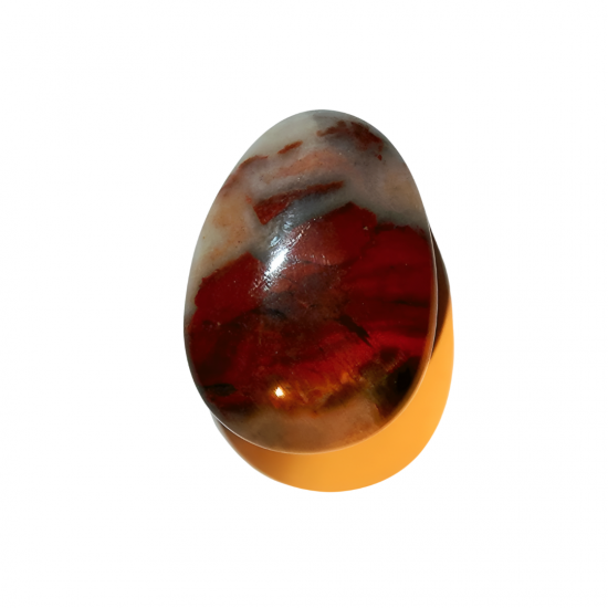 White bg no shadow designify   2022 02 19t112714423