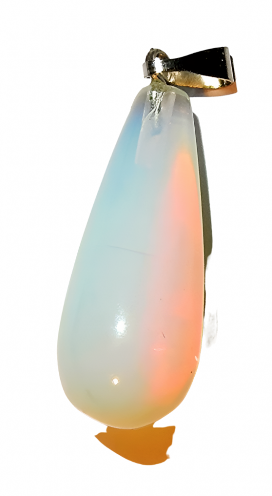 White bg no shadow designify   2022 02 21t012121805