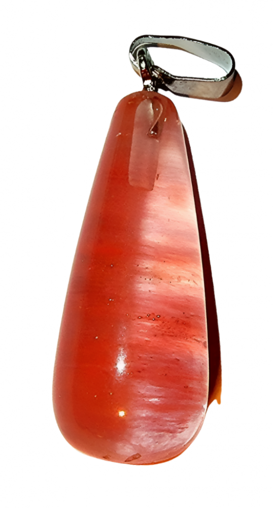 White bg no shadow designify   2022 02 21t012838741